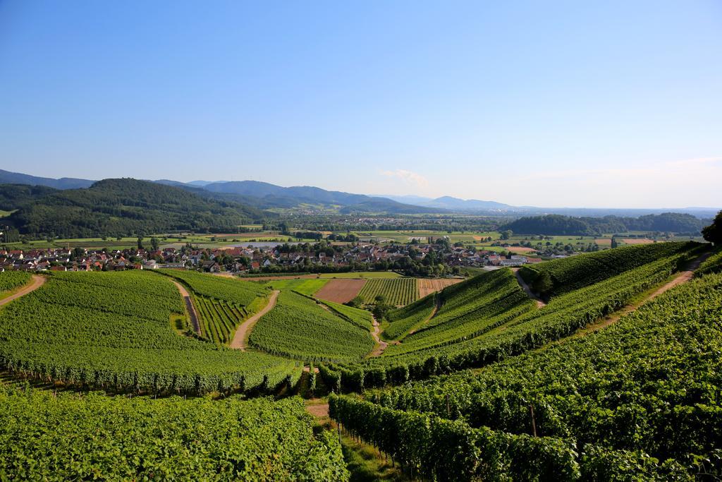 Annas Scheune Waldkirch Exteriér fotografie